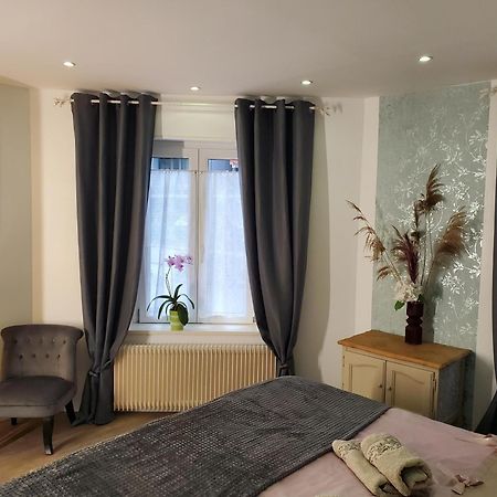Mirka & Franck Apartment Chic 4 Stars Parking Free Colmar Ngoại thất bức ảnh