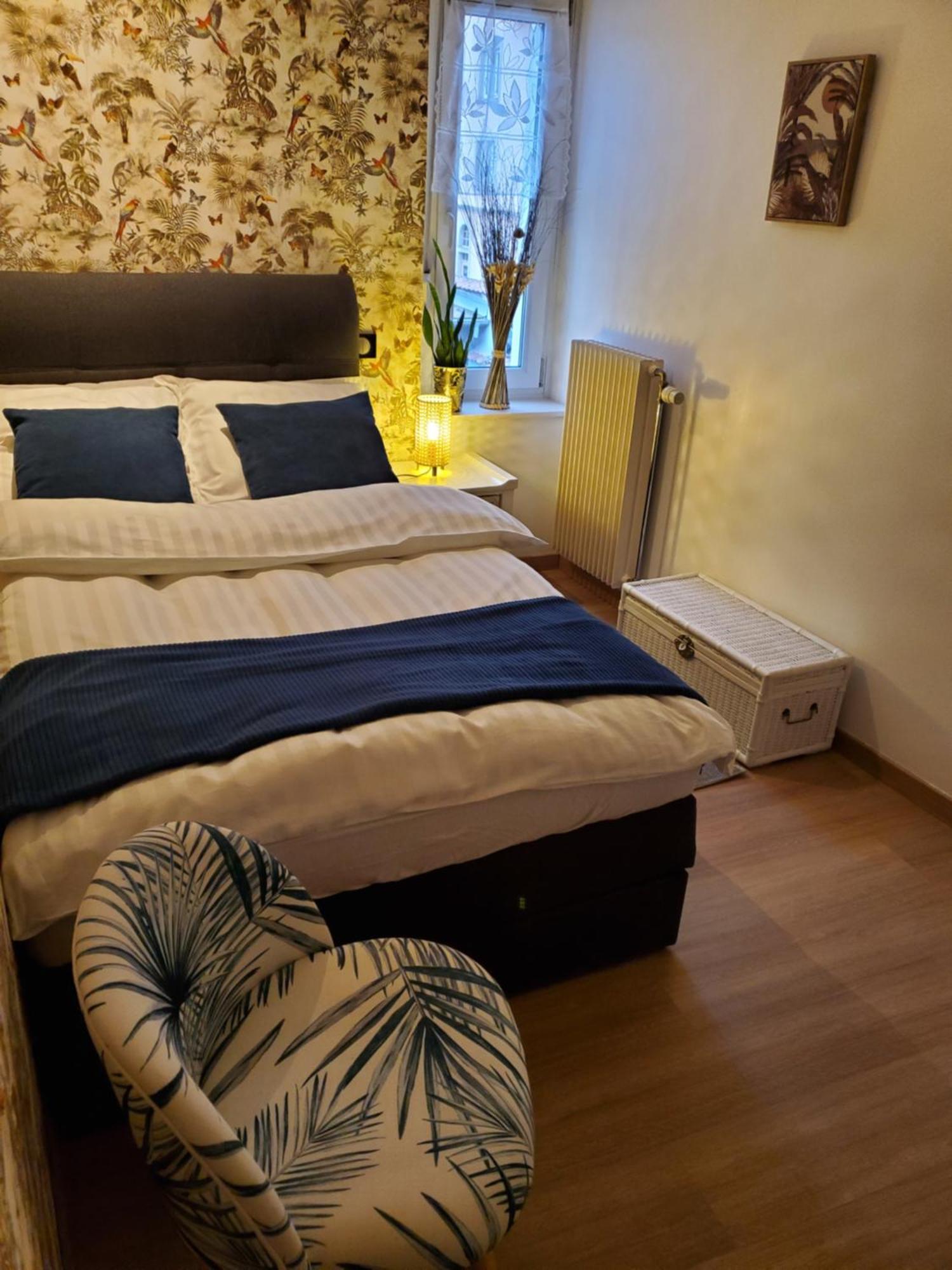 Mirka & Franck Apartment Chic 4 Stars Parking Free Colmar Ngoại thất bức ảnh