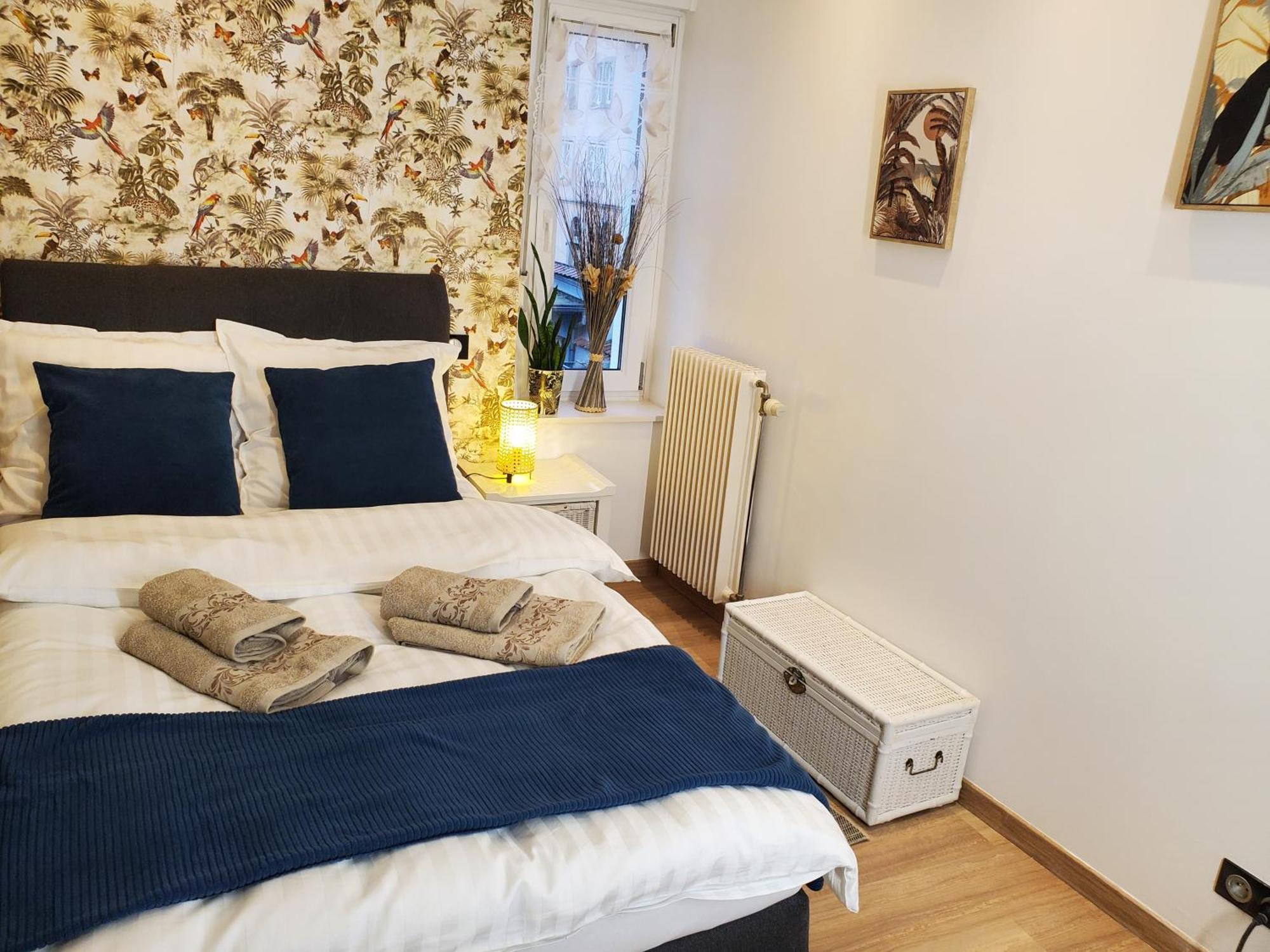 Mirka & Franck Apartment Chic 4 Stars Parking Free Colmar Ngoại thất bức ảnh