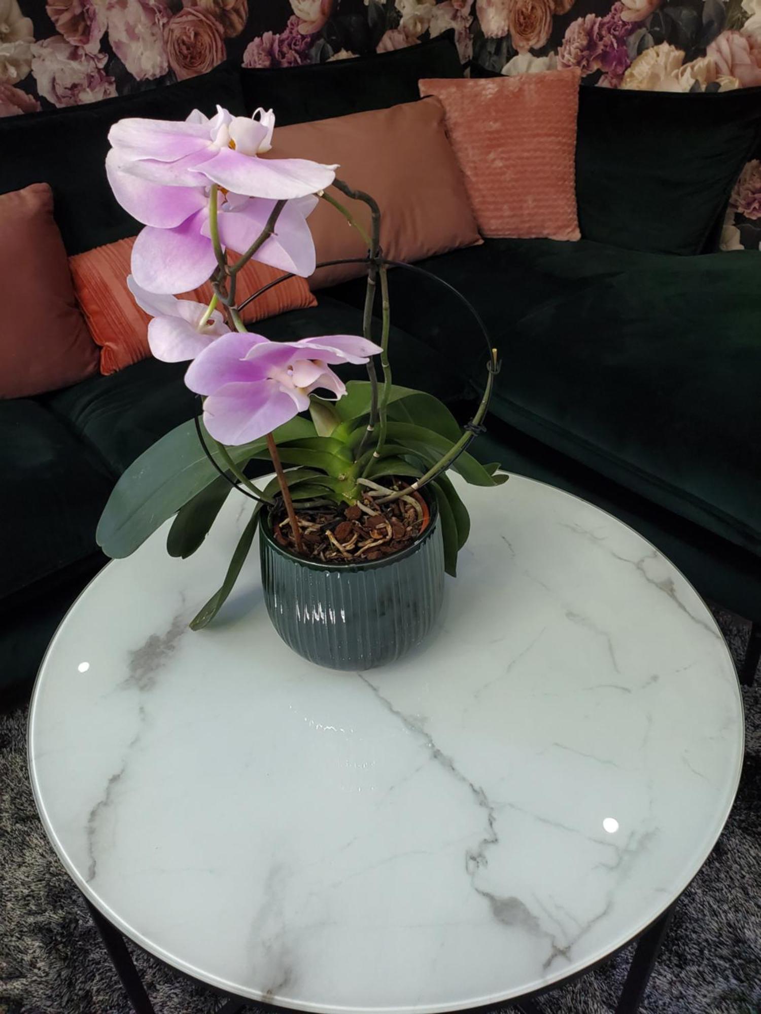 Mirka & Franck Apartment Chic 4 Stars Parking Free Colmar Ngoại thất bức ảnh